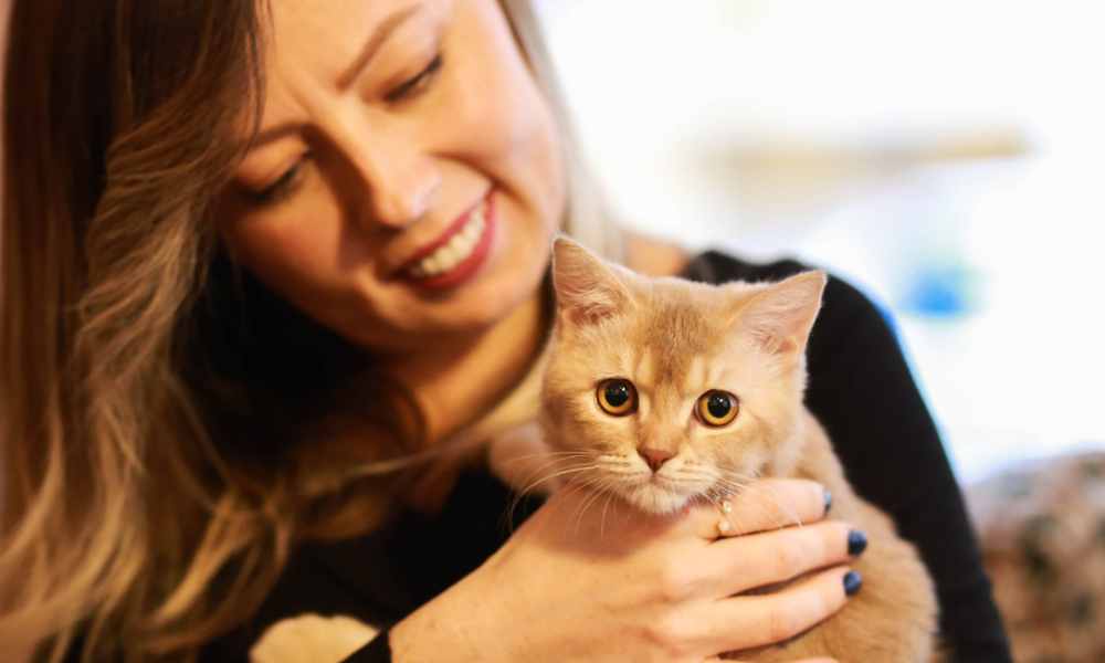 Mujer que sonrie con su gato naranja con ojos naranja